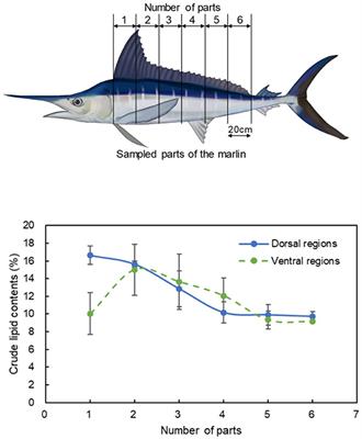 Investigation of the preference of marlin Kajikia audax sashimi with different lipid contents through sensory evaluation